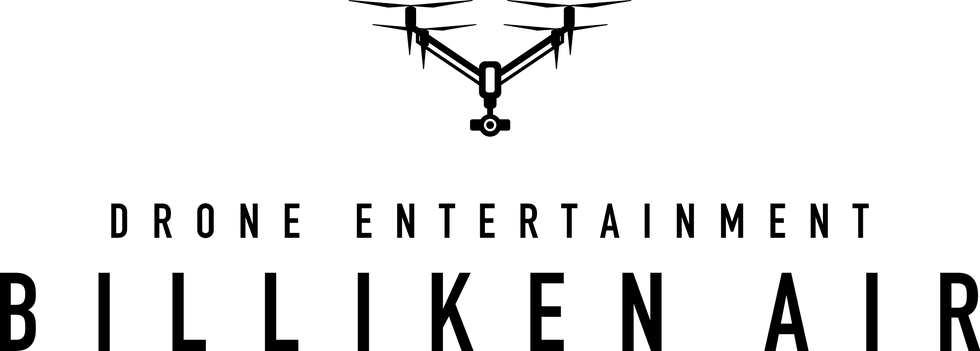 アセット 9