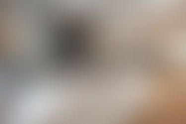 Custom kitchen renovation in Coal Harbour by Grand Renovations, featuring modern design and premium finishes.