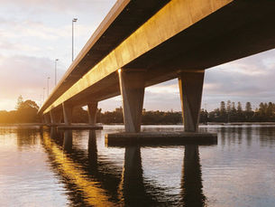 Industry Culture and Sustainability Capabilities 