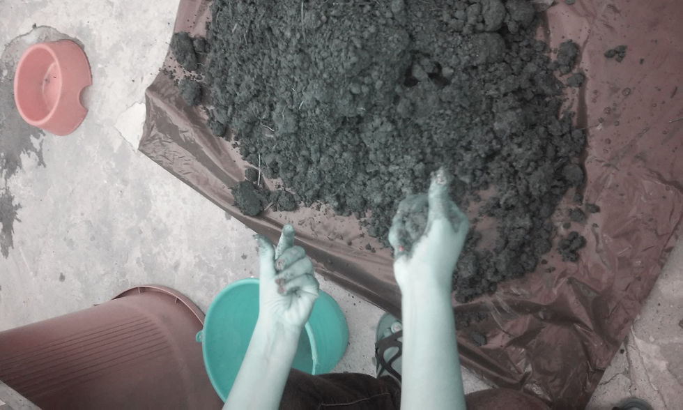 20150329_180623.jpg