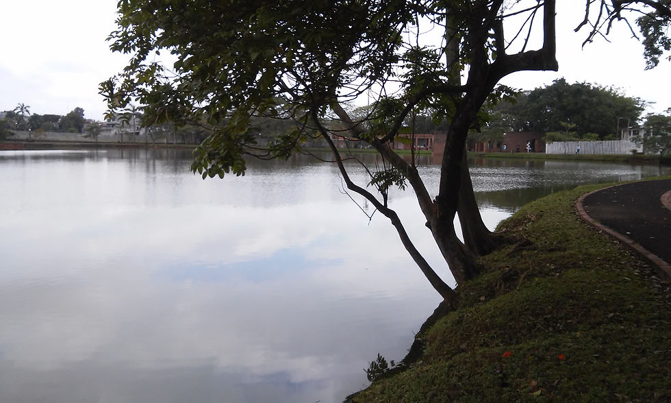 parque la pólvora