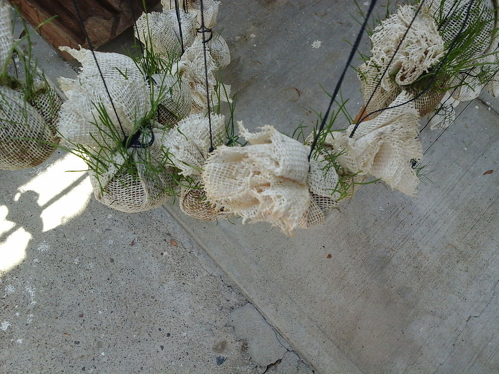 20150412_145902.jpg
