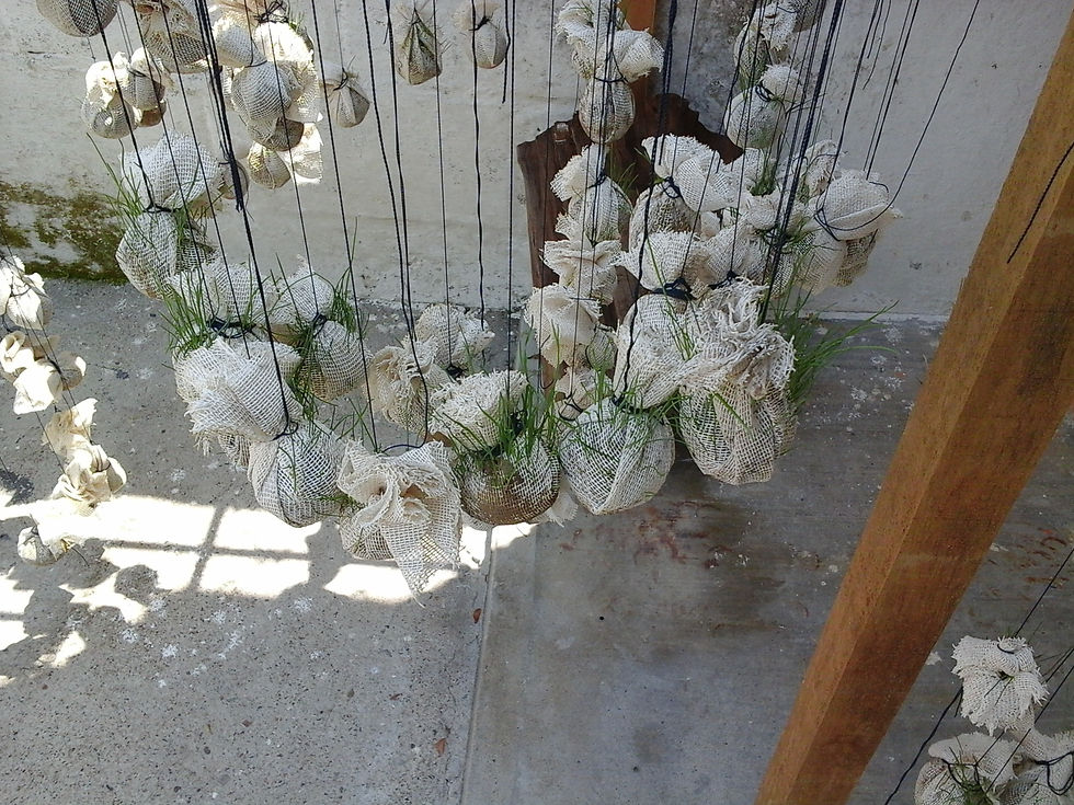 20150412_145827.jpg
