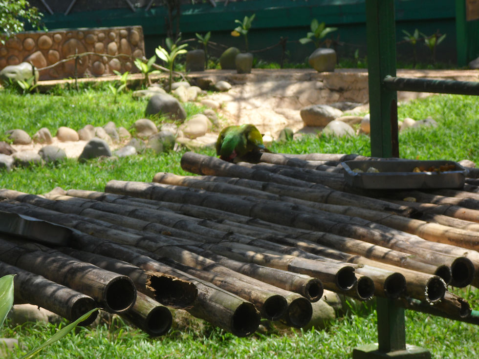 parque museo la venta