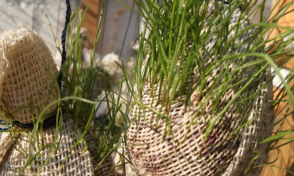 20150418_085553.jpg