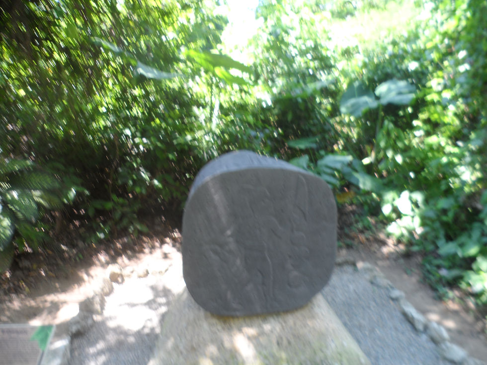 parque museo la venta
