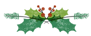 Holly