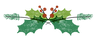 Holly