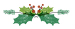 Holly