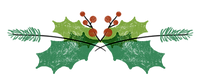 Holly