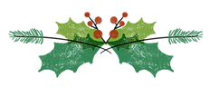 Holly