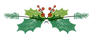 Holly