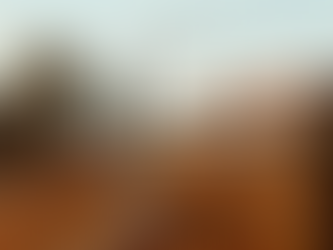 Entretenir votre chaudière : ce qu'il faut savoir !