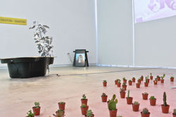 Exhibition view