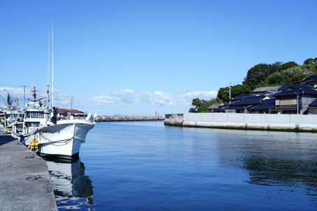 ◆11月の店休日