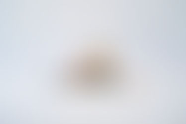 ◆おかげさまで12周年を迎えられました。