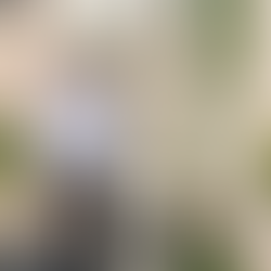 From Rich History to Emerging Opportunities: New Caledonia’s Marist Presence Faces the Future with Faith, Writes Mark Pauchmann