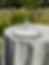 Miniatura: Botanico