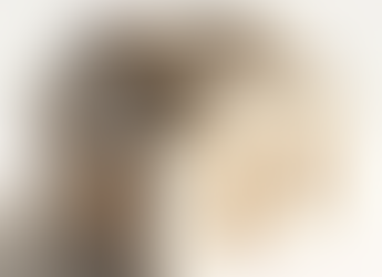 IPTU 2026: consulta e pagamento já estão disponíveis em São Paulo