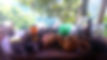 20160327_103636_edited.jpg