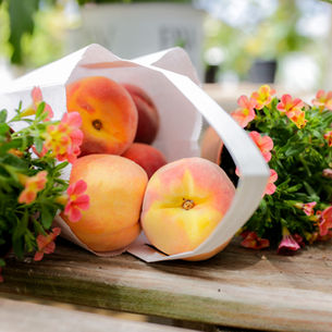 Palisade Peaches at Poppy's Peach Stand located at Bath Garden Center & Nursery
