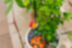 Create Your Own Pollinator Pot Workshop