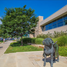 Colorado State University with landscape design by Bath Landscape and Irrigation