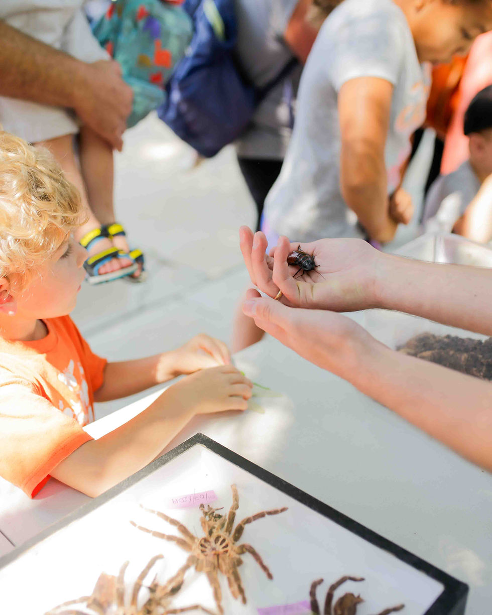 Bug Day 2026 at Bath Garden Center!