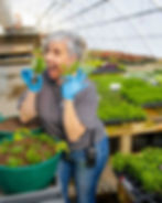 Plant Physiology Class at Bath Garden Center