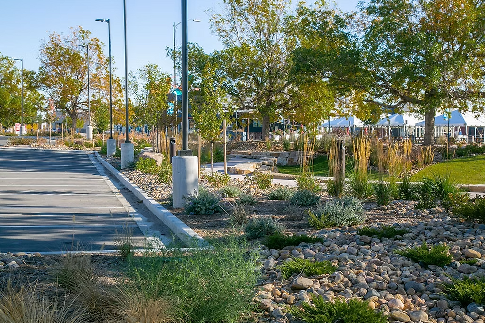 Commercial Landscaping Design Ideas for 2026