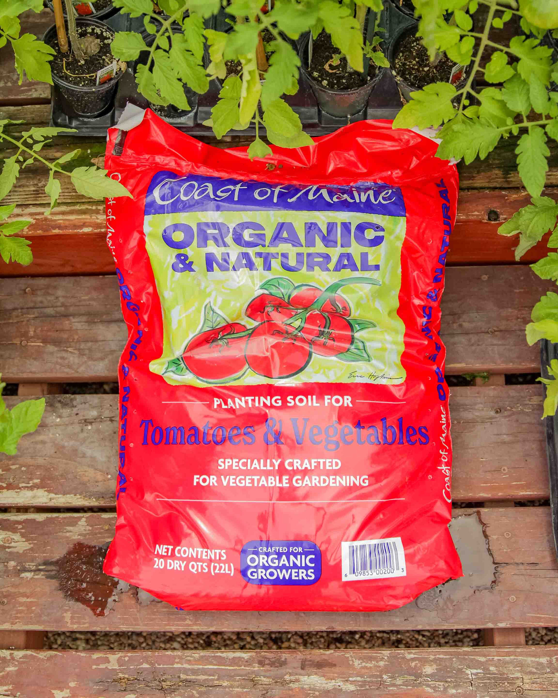 Coast of Maine Organic Tomato and Veggie Soil