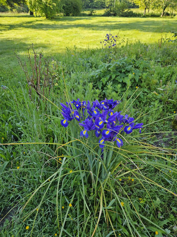 DANA MUSSA Danseuse, chorégraphe et coach Fondatrice de l'école CHANCE TO DANCE Diplômée et certifiée de plusieurs formations, depuis 14 ans, Dana a formé plusieurs centaines d'élèves adultes, puis prépare Diplômée et certifiée de plusieurs formations depuis 15 ans, Dana a formé plusieurs centaines d'élèves adultes et a préparée des enfants pour l'École de l'Opéra de Paris. Elle est également coach privé de célèbres artistes telles que Natalia Vodianova Arnault (mannequin et philanthrope), Laurence Equilbey (chef d'orchestre), Shani Diluka (pianiste) et bien d'autres... Ainsi que des hommes et des femmes d'affaires, des politiciens, des ambassadeurs, des avocats et des médecins.  Créatrice du style Ethno Ballet et sa propre méthode de Stretching, Dana enseigne ces deux disciplines en plus de la danse classique. Danseuse et chorégraphe, Dana est arrivée finaliste de l'émission télé "La France a un incroyable talent" en ayant le golden buzz avec sa performance Chance to dance qui exprime la liberté d'expression corporelle dans le monde entier, surtout dans les pays où la danse n'est pas très présente, voire même interdite. Son rêve c'est de permettre aux gens de retrouver la joie d'avoir un corps souple, tonique et mobile quelque soit leur âge et niveaux.