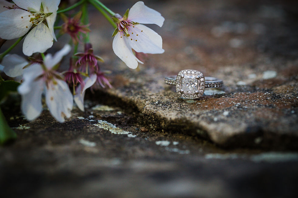 downtown frederick maryland engagement