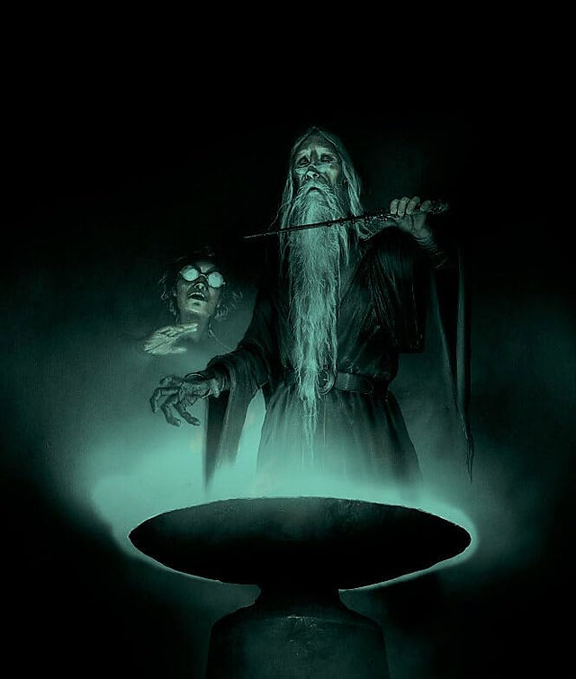 Harry Potter and the Half-Blood Prince: The Illustrated Edition