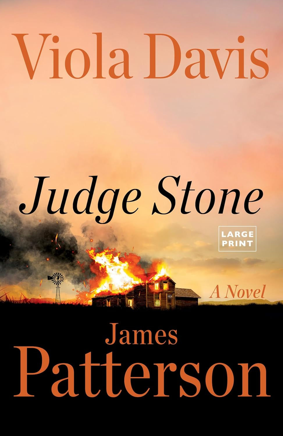Thumbnail: Judge Stone: A Novel