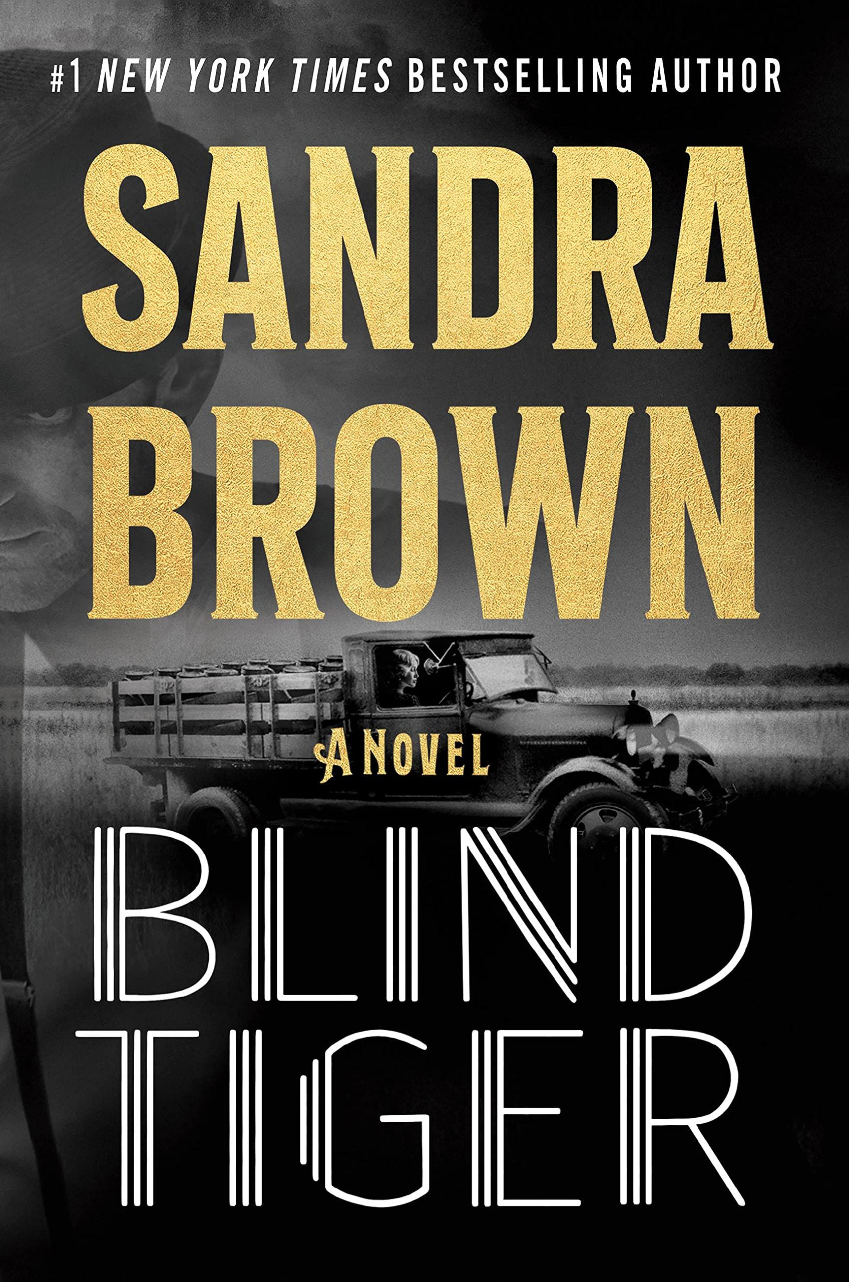 Blind Tiger: A Novel