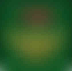 The Legend of Zelda 2026 Wall Calendar