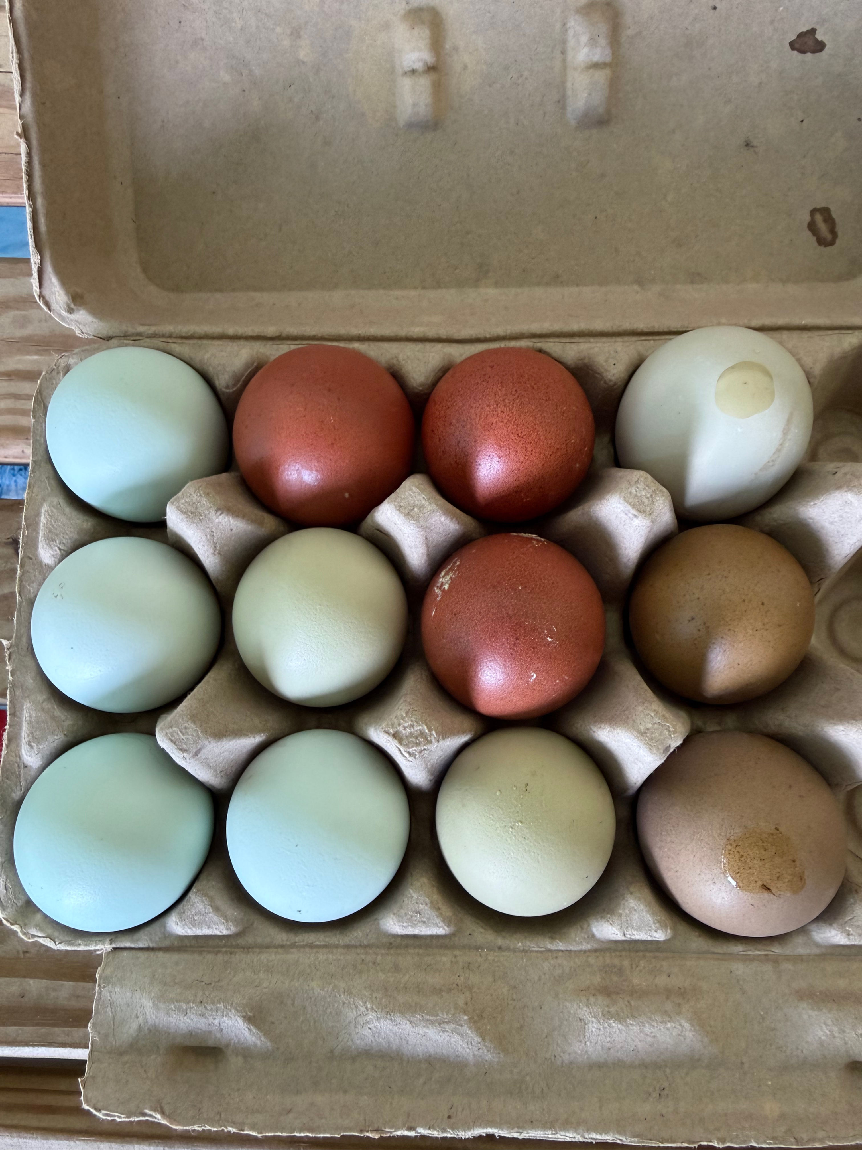 Today’s Hand Picked Dozen