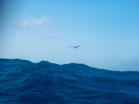 Our Longest Ocean Crossing EVER!