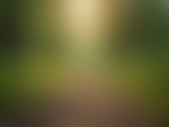 Overcoming Burnout: Strategies for High-Performing Individuals