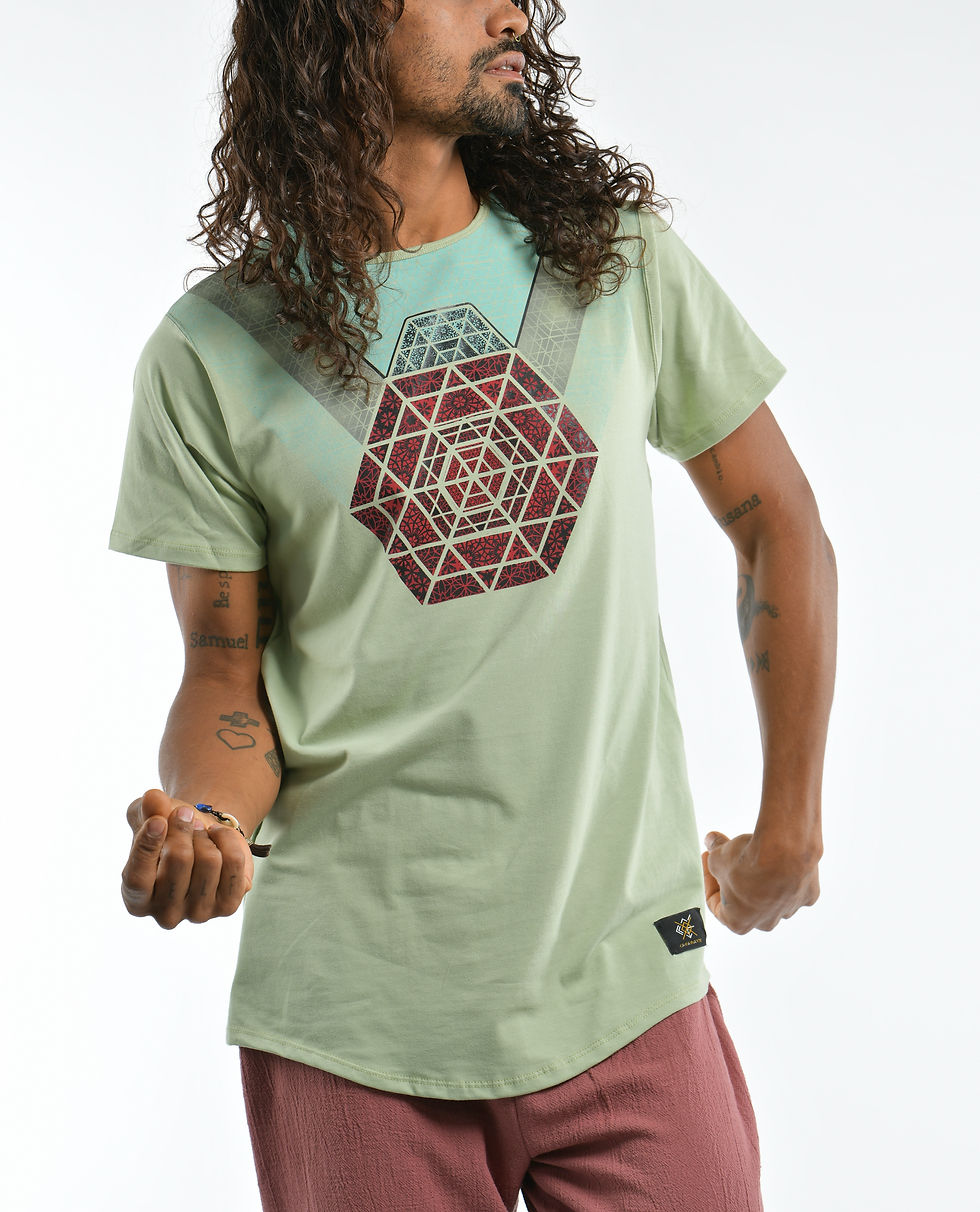 Miniatura: PLATÓN VERDE