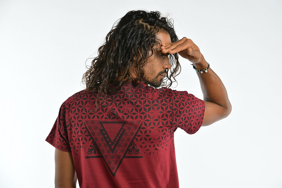 Miniatura: TETRAEDRO CARDENAL