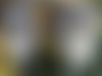 Monica: A Dog Still Believing in Love