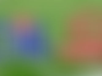 Carthage Punches Ticket to State Final With Semifinal Win Over Brock