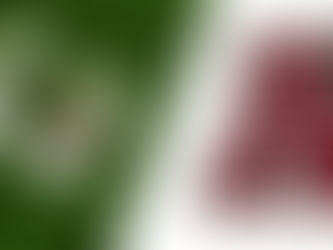 UIL VOLLEYBALL: Southlake Carroll Aims for State Championship