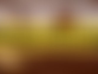 Houston County Judge Family Member Sues Whitehouse ISD Over Alleged Harassment, Discrimination, Injuries to Special Needs Children