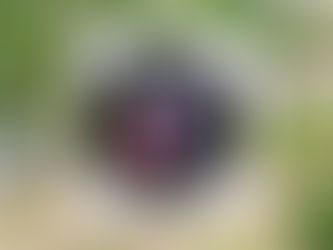 GALLERY: Jacksonville Demolition Efforts Pave the Way for New Development