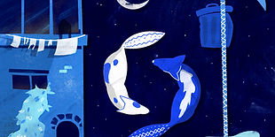 Illustrated Night