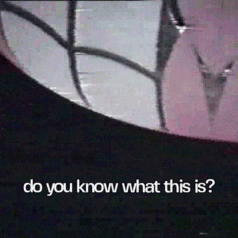 focus.gif