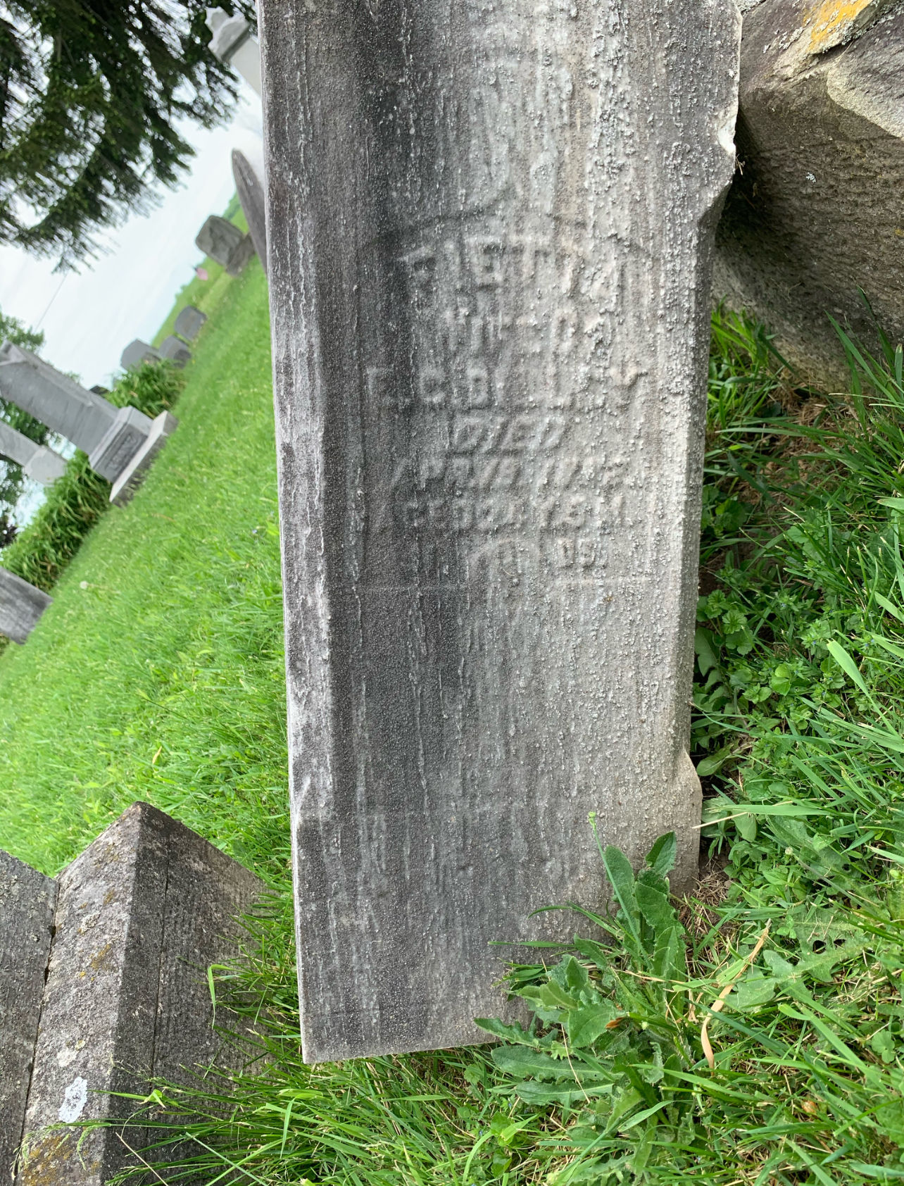 Adopt A Grave: Fietta Dilley